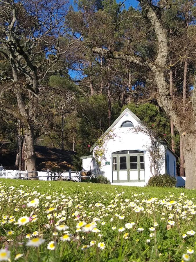 L'Auberge Chanteclair Franschhoek Eksteriør bilde