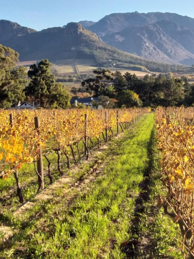 L'Auberge Chanteclair Franschhoek Eksteriør bilde