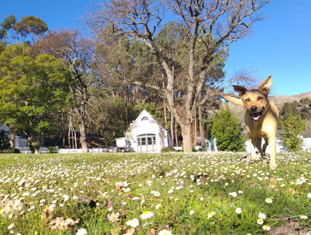 L'Auberge Chanteclair Franschhoek Eksteriør bilde