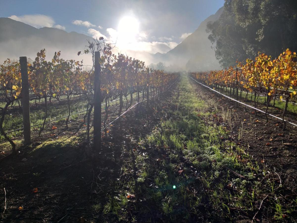 L'Auberge Chanteclair Franschhoek Eksteriør bilde